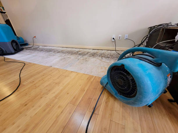 Professional Basement Flood Cleanup technician working in Tonalea, AZ